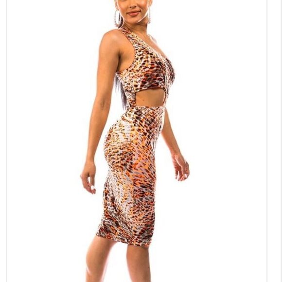 NWT Leopard Cut Out Dress - Picture 1 of 8